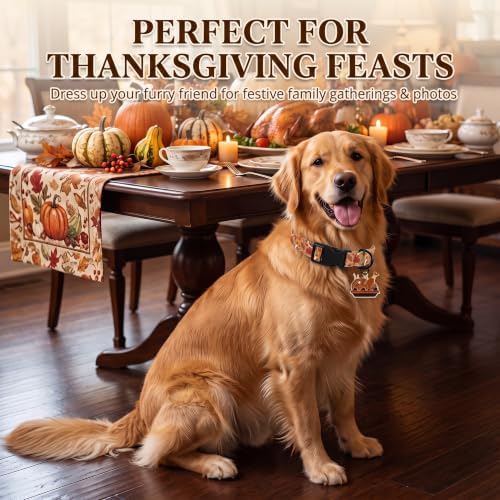 Fall Dog Collar, Thanksgiving Dog Collar for Medium Dog, M