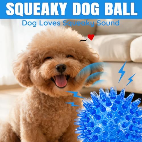 LECHONG 12-Pack Squeaky Spiky Dog Balls, 2.5" Balls for Small Medium Dogs | Durable TPR, Floats, Bouncy, Soothes gums, Cleans teeth, Boredom buster, Interactive Play, Indoor and Outdoor Fetch