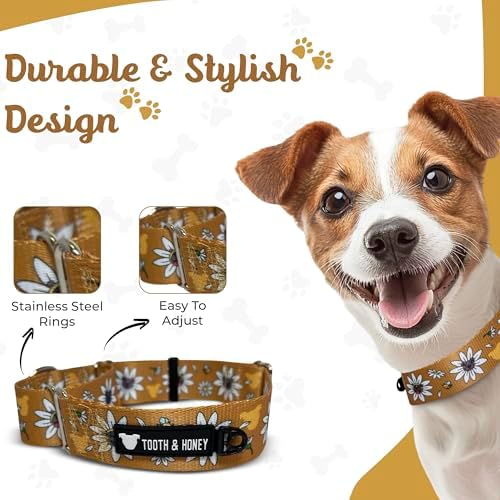 Tooth & Honey Martingale Dog Collar, 1.5-Inch Wide Daisy Print Design