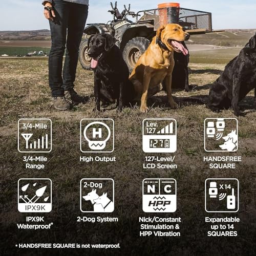 Dogtra 1902S HANDSFREE Plus Boost and Lock, Remote Dog Training E-Collar, HANDSFREE Square, 3/4-Mile Range, Rechargeable, Waterproof, High-Output, 2 Dog System, eCollar for Medium, Large Dogs