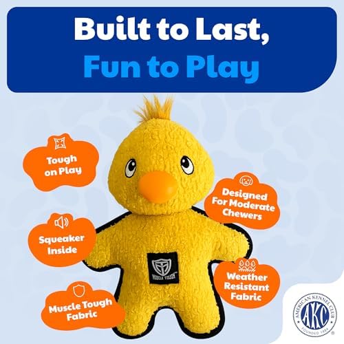 American Kennel Club Plush Dog Toy with Squeaker for Moderate Chewers, Soft Stuffed Dog Toy for Tugging, Fetch & Interactive Play, Gentle on Teeth
