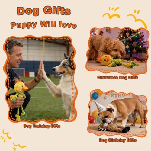 Duck Rope Dog Toy, Plush Lion Squeaky Dog Toy, 2 Pack