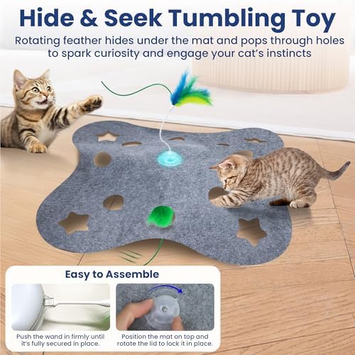 PAWSPIK Tumbling 3-in-1 Interactive Hide & Seek Cat Toy