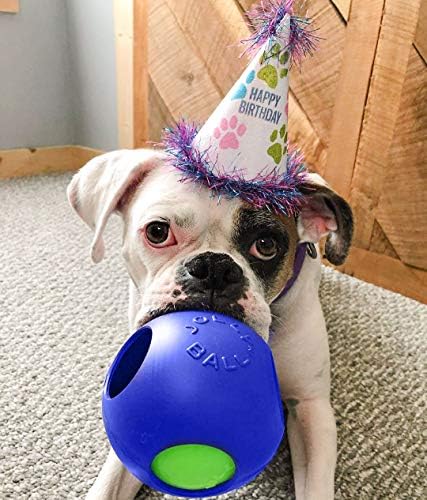 Jolly Pets Teaser Ball Interactive Dog Toy, 6 in Medium, Blue