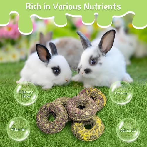 Fhiny 10 PCS Rabbit Chew Toys, Rabbit Treats with Natural Grass and Flowers, Pet Molar Grass Cakes for Guinea Pigs, Chinchillas, Hamsters and Other Small Rodents