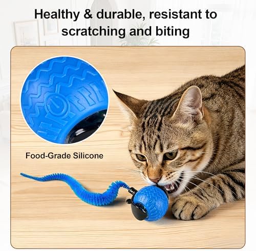 Interactive Cat Toys for Indoor Cats, Automatic Rolling Cat Balls