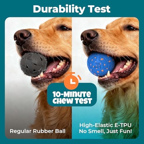 Roinoim Automatic Interactive Dog Ball Toy, Motion Activated Durable Rope Dog Chew Toy, USB Rechargeable Pet Exercise Ball for High Energy Dogs, Indoor Outdoor Playing, Blue