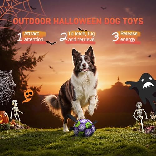 QDAN Halloween Dog Toys Balls with Straps, 8 Inch Large Dog Herding Balls