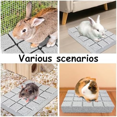 Hamiledyi 4PCS Rabbit Scratching Pads Bunny Lava Grinding Claw Pads Small Animal Foot Pads Hamster Scratch Board Chew Toys for Gerbil Chinchilla Hedgehog Guinea Pig Cage Accessories