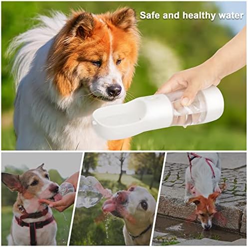 Portable Dog Water Bottle with Food Container Dishwasher Safe-White