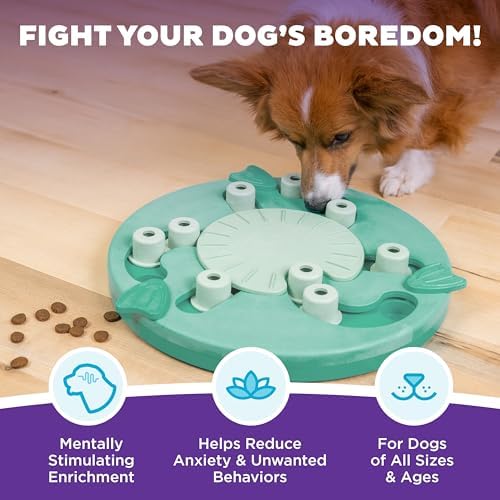 Outward Hound Nina Ottosson Dog Worker Dog Toy Treat Puzzle, 14" | Level 3 Advanced, 18 Hidden Treat Compartments, Kibble or Treats, Easy Clean, No BPA, Interactive Enrichment, Dogs & Puppies