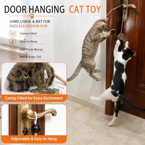 Cat Toys for Indoor Cats,Interactive Door Hanging Cat Toys Attached with Catnip/Worm/Birds/Mouse Toys for Cats/Kitten Toys(3 Pack)