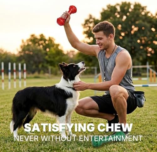 Dog Toys for Aggressive Chewers, Dog Chew Toys, Dog Bone Toys, 2 Packs