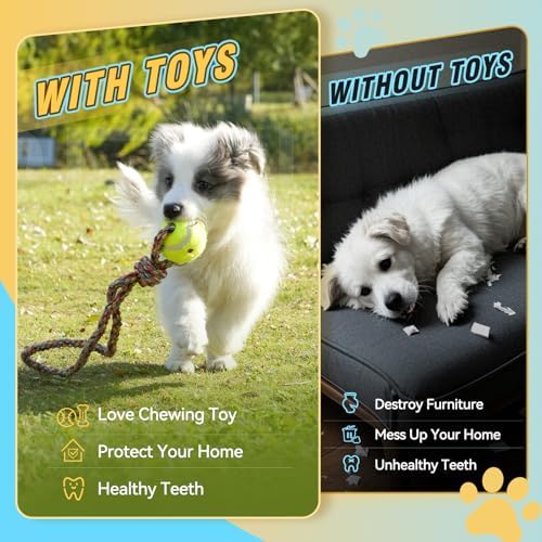 Dog Rope Toys for Small-Medium Dogs. 18 Pack for Teeth Cleaning, Chewing, Training Balls and Squeaky Toys. Best for Entertainment, Interaction,Tug of War Indoor and Outdoor.