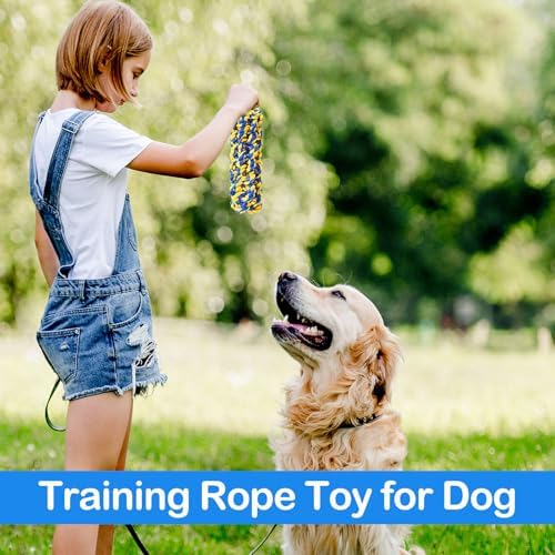 18 Pcs Dog Rope Toys Set Interactive Chew Balls Toys for Aggressive Chewers Large Medium Small Dogs Pet Puppy Teeth Cleaning Fun Training Birthday Gifts