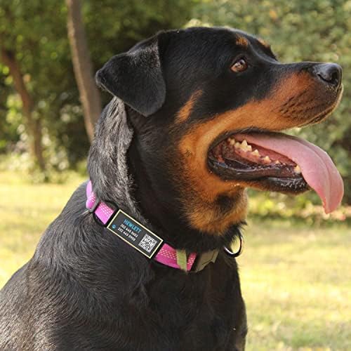 QR Code Dog Tag, Silent Slide-On Pet ID Name Tag for Dogs, Cats & Horses – Custom Personalized Noiseless Tag with Jingle-Free Fit & Online Profile Display