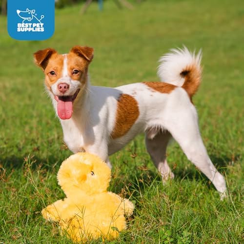 Best Pet Supplies Interactive Squeaky Dog Toy - Baby Chicken, Yellow | Stuffing Free Body, Soft, Squeaks & Crinkles, No Mess, Perfect for Moderate Chewers, Toss and Fetch Play