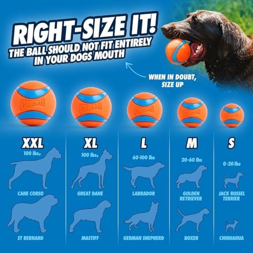 Chuckit! EcoFetch Dog Ball Launcher 18" with Medium 2.5" Ball, Dogs 20-60