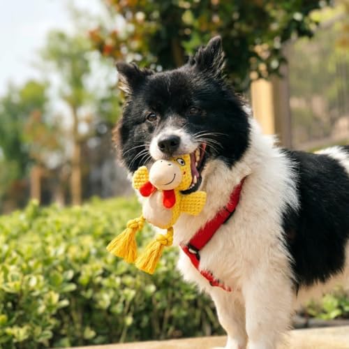 Plush Squeaky Knot Dog Toys, Interactive Chew Toys (Yellow Chicken)