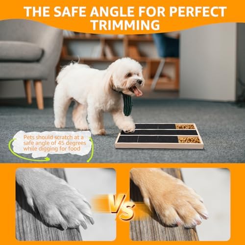 Dog Nail Scratching Board, Dog Nail File Toy for Nails with Treat Box, Puppy Claw Grooming Tool with Treat Drawer, Dog Nail Scratch Pad for Dog Cat Claw Care (6 grids)