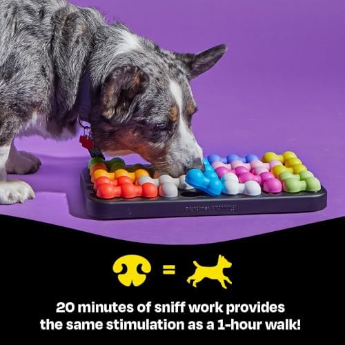 Learning Resources Brightkins Kanoodle Dog Edition Large