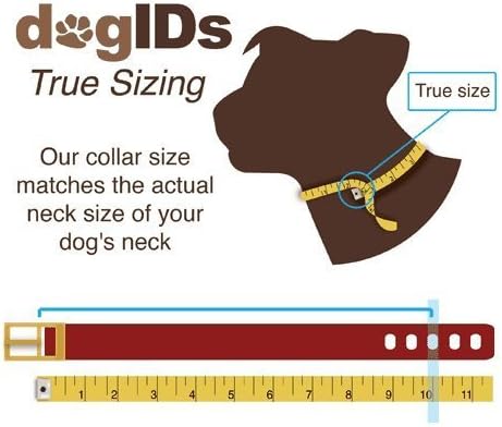 dogIDs Personalized Dog Collar – ScruffTag Custom Waterproof Biothane Dog Collar with Laser-Engraved Name, Durable & Odor-Resistant – USA Made | Margarita, 1 in x 18 in (Fits Neck Sizes 16-20 in)