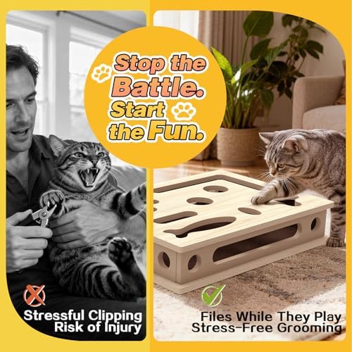 Cat Scratch Puzzle Enrichment Box, Interactive Cat Puzzle Toy Box