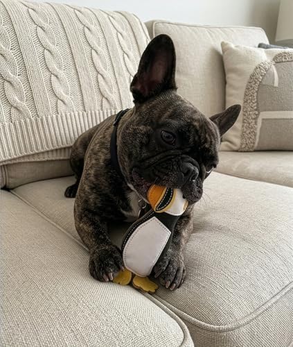 SPOT Dura-Fused Colors Leather Puffin Dog Toy, Squeaker Inside, All-Natural Leather, Heavy-Duty Stitching on Stress Points, Rip-Resistant, Multi-Texture Chew Toy, for Small to Medium Dogs, 8.5 Inch