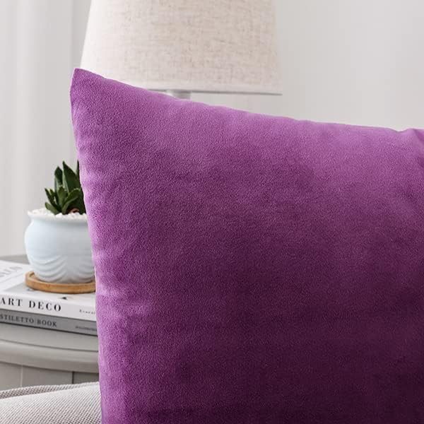 NiNi ALL Purple Velvet Throw Pillow Covers 22x22 Pack of 2 Decorative Couch | Soft Solid Boho Cushion Squar Pillow Cases for Chair Sofa Bedroom Farmhouse Living room Modern Luxury Home Decor Christmas