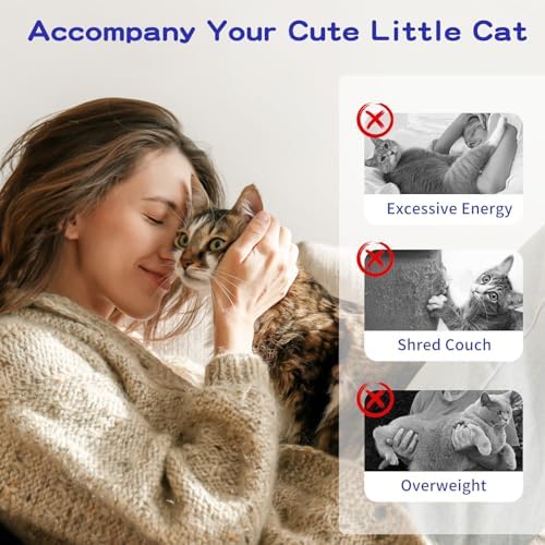 Pawaboo Cat Feather Wand Interactive Toy, 2 Feathers + 1 Wand with Bell