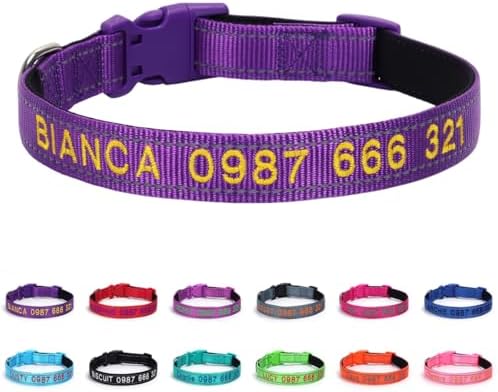 Personalized Reflective Dog Collar with Custom Embroidery - Durable Nylon, POM Buckle, Night Safety, Pet ID Collar
