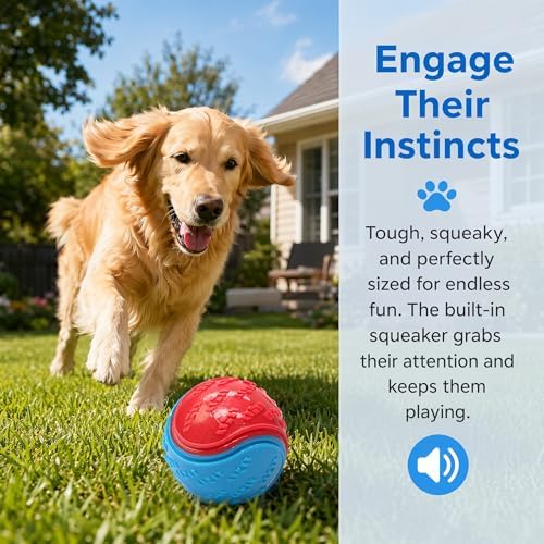6Pcs Glow Rubber Dog Balls, 2.5 Inch for All Dogs