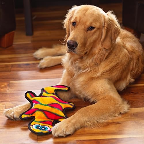 Outward Hound Durablez Medium Gecko Stuffing-Free Squeaky Plush Dog Toy for Puppies & Dogs - Interactive, Soft Yet Tough, No Mess, Jumbo Squeaker, Long-Lasting Play, 13.75 inch, Orange