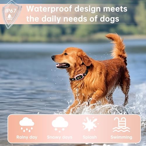 Dog Bark Collar, Rechargeable Bark Collar for Small Dog 5-15bl, Medium and Large Dog, IP67 Waterproof Anti Barking Collar with Adjustable Sensitivity(Pink)