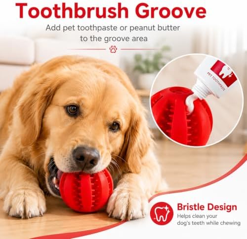 GASHIK Dog Treat Ball for Dogs, Rubber Dental Chew Toy for Dogs