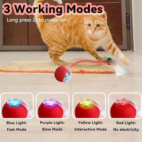 Speedy 2.0 Tail Interactive Cat Toys for Indoor Cats, Automatic Cat Toy with Elastic Mesh Tail, Electric Rolling Ball on Carpet, Chirping and Motion Activate Cat