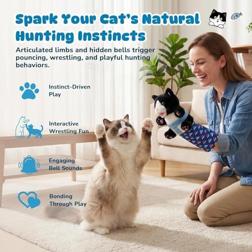 Interactive Cat Toys Cute Play Set with Wrestling Glove, Karate Kitty, Catsumo, Wrestling Puppet, Fun Interactive Toy for Indoor Cats & Kittens (cat02)