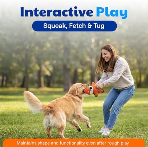American Kennel Club Plush Dog Toy with Squeaker for Moderate Chewers, Soft Stuffed Dog Toy for Tugging, Fetch & Interactive Play, Gentle on Teeth