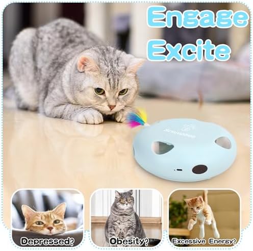 Rechargeable Interactive Cat Toy, Blue