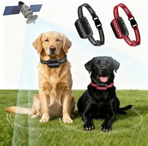 Wireless Dog Fence for 2 Dogs, GPS Wireless Dog Collar with 3 Warning Modes, Pet Containment System with AI Smart Signal, Range 65ft- 3290ft,Electric Dog Fence for Outdoor Use(2 Collars)