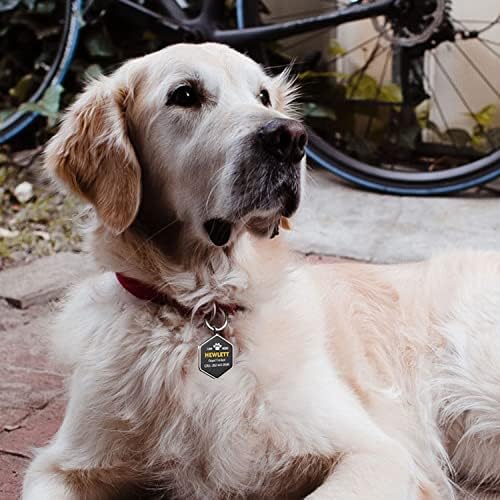 Dog Tags Personalized Pet ID Tags - QR Code Customize Dog Cat Tag - Pet Online Profile Display Pet Information