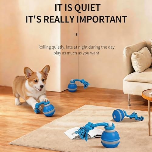 Interactive Dog Toy, Automatic Rolling Ball with Bird Sound, 3 Mode Pet Toy