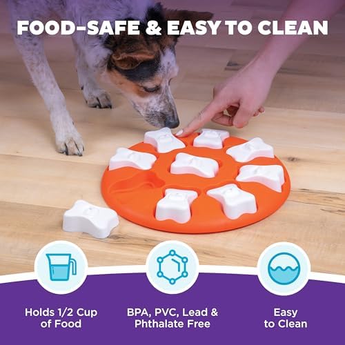 Outward Hound Nina Ottosson Dog Smart Dog Toy Treat Puzzle, Enrichment, 11"