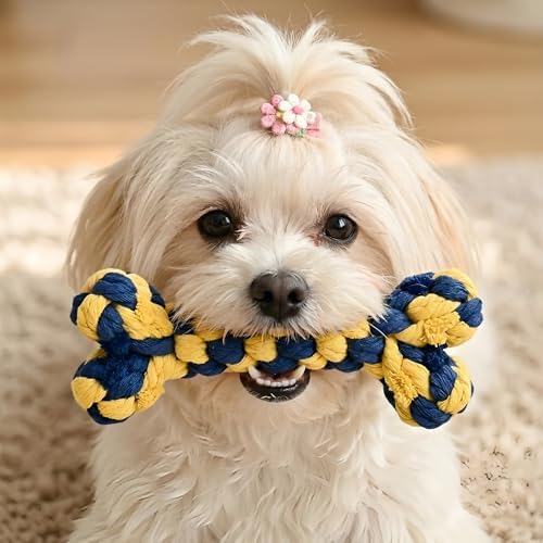 Bone-Shaped Dog Rope Chew Toy, Blue & Yellow