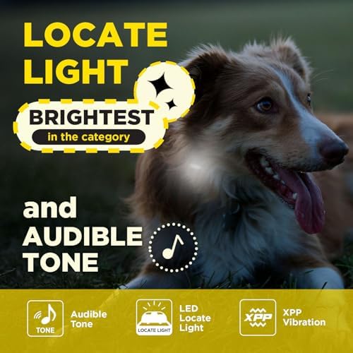 Dogtra 200iQ Remote Training E Collar – 100 Levels, Tone, Vibration, 1/2 Mile Range – Compact, Waterproof, One-Handed Control for Dogs 10 lbs+ – Lightweight Design for Daily Training – Cafe Swirl