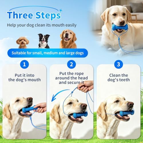 Dog Teeth Cleaning Chew Toy Dental Brush Bone