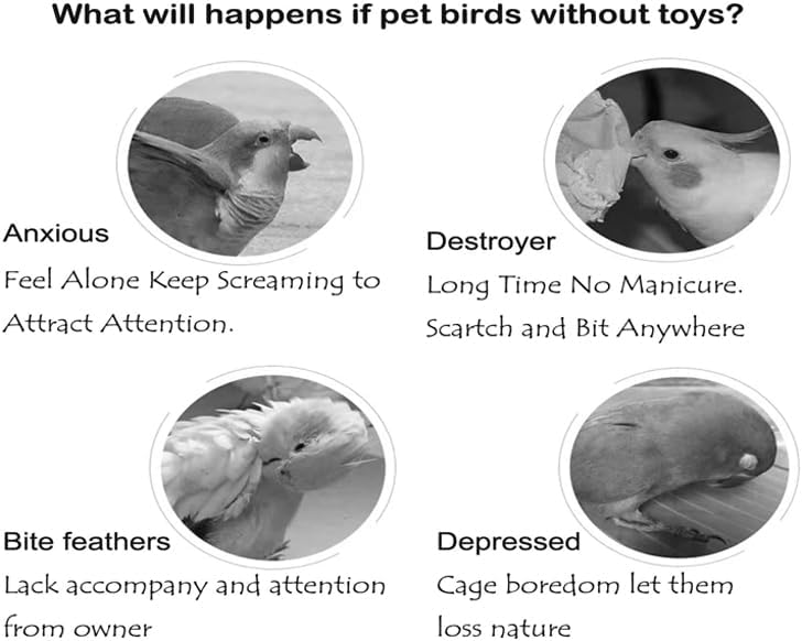 Colorful Bird Xylophone Toy Interactive Training Toy Bird Cage Bell Toy Accessories Music Musical Enrichment Bells for Conure Budgie Cockatiel African Grey Parakeet Finch Parrot Love Birds