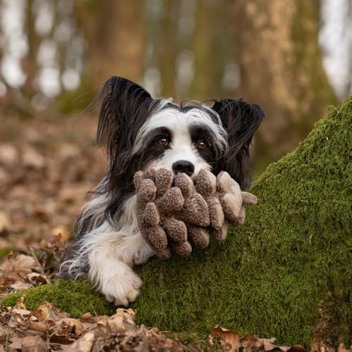 CHEWFFON Interactive Dog Toy, Squeaky Snuffle Game for Boredom