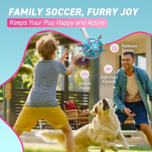 QDAN Dog Toys Soccer Ball with Straps, Tug of War Toy, 8 Inch Outside Toy