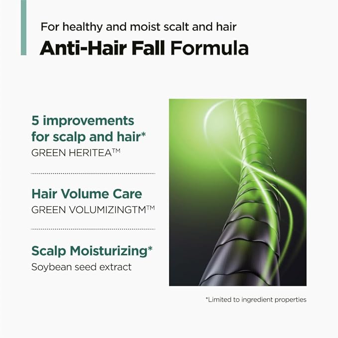 AMOS PROFESSIONAL The Green Tea Shampoo Moisturizing for Thinning Hair, Korean Shampoo for Dry Scalp l Flaky & Itchy Scalp, Strengthening Hair, All Hair Types, 16.9 fl. oz.